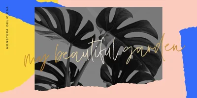 Sunday Morning Font