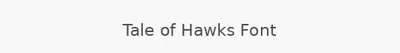 Tale of Hawks Font