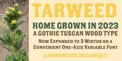 Tarweed Font