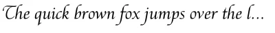 Tasci Kursiv Font