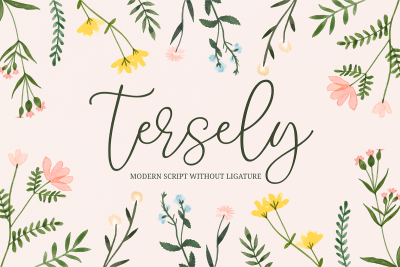 Tersely - a Script without Ligature Font