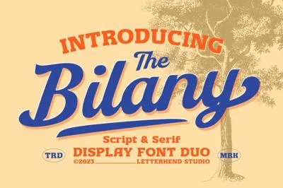 The Bilany - Display Font Duo