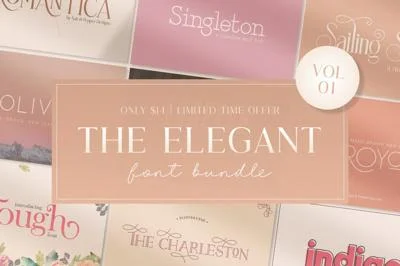 The Elegant Font Bundle - Vol 01