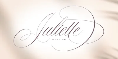 The Wedding Signature Font