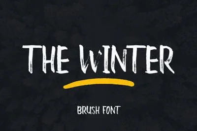 The Winter Brush Font