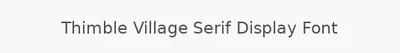 Thimble Village Serif Display Font