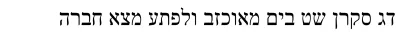 Times New Roman Windows compatible Font