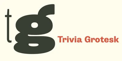 Trivia Sans Font