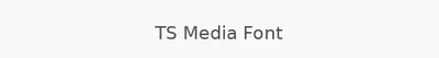 TS Media Font