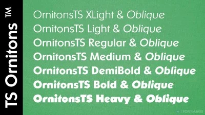 TS Ornitons Font