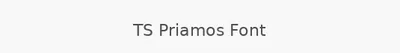 TS Priamos Font