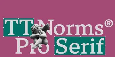 TT Norms Pro Serif Font