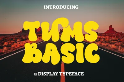 Tums Fonts | Elegant Display Font