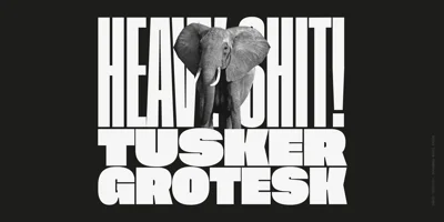 Tusker Grotesk Font