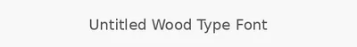 Untitled Wood Type Font