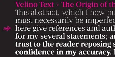 Velino Text Font