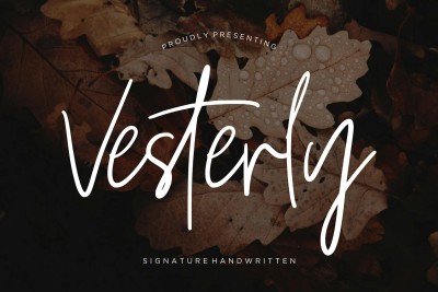 Vesterly Signature Wedding Font
