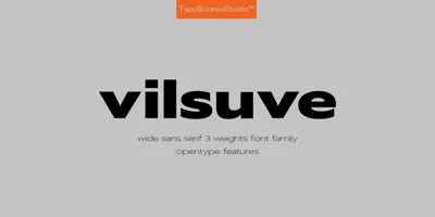 Vilsuve Font
