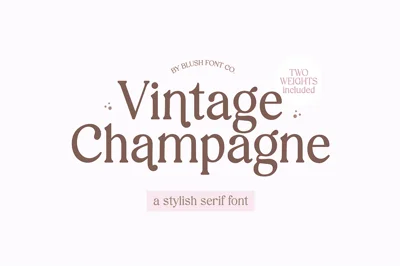 VINTAGE CHAMPAGNE Modern Serif Font