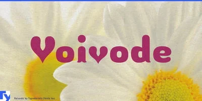 Voivode Font