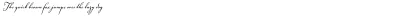 Voluta Script