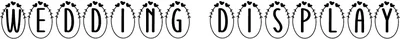 Wedding Display 2 Font
