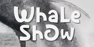 Whale Show Font