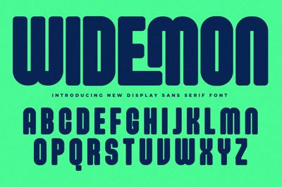 Widemon New Display Sans Serif Free Download