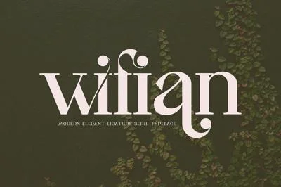 wifian Ligature Serif Typeface