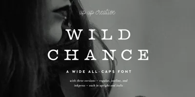 Wild Chance Font