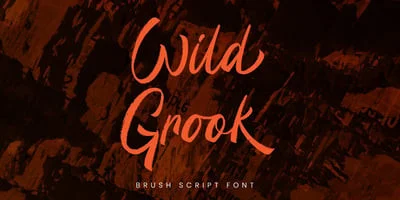 Wild Grook Font