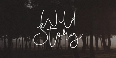 Wild Story Font