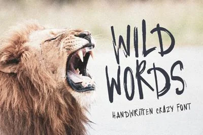Wild Words handwritten textured font