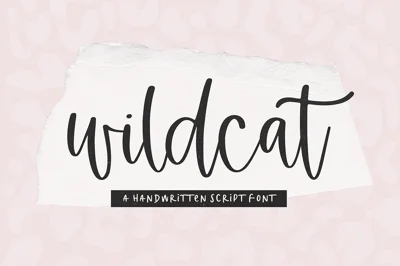 Wildcat | Handwritten Script Font