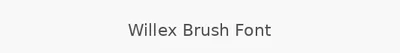 Willex Brush Font