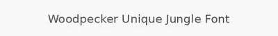 Woodpecker Unique Jungle Font