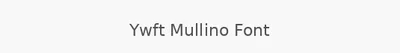 Ywft Mullino Font