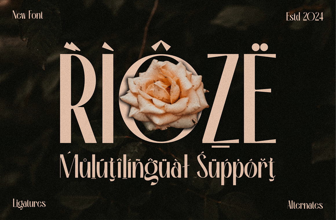 Rioze - Sans serif Elegant Font Free Download Rioze - Sans serif Elegant Font Free Download