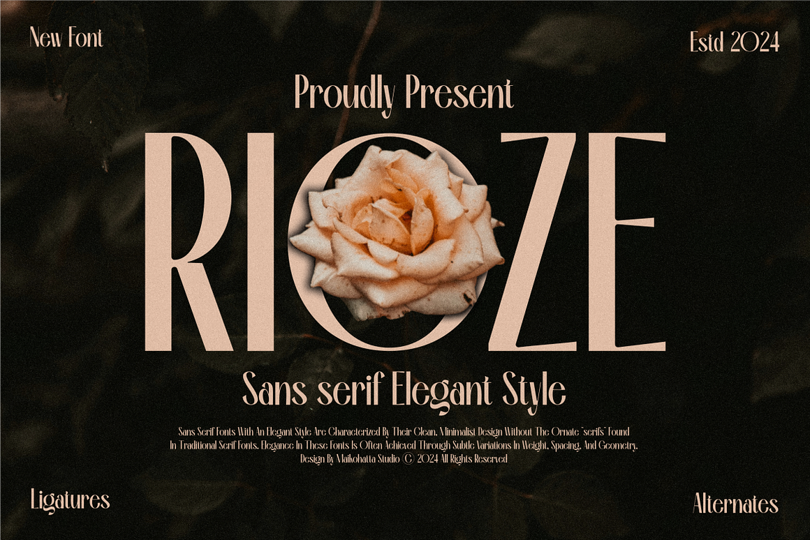 Rioze - Sans serif Elegant Font Free Download Rioze - Sans serif Elegant Font Free Download