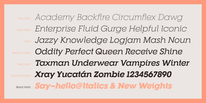 RNS Camelia Font Free Download RNS Camelia Font Free Download