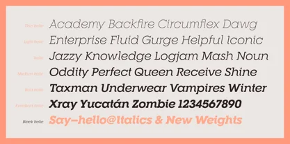 RNS Camelia Font