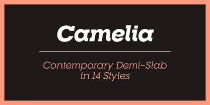 RNS Camelia Font Free Download RNS Camelia Font Free Download