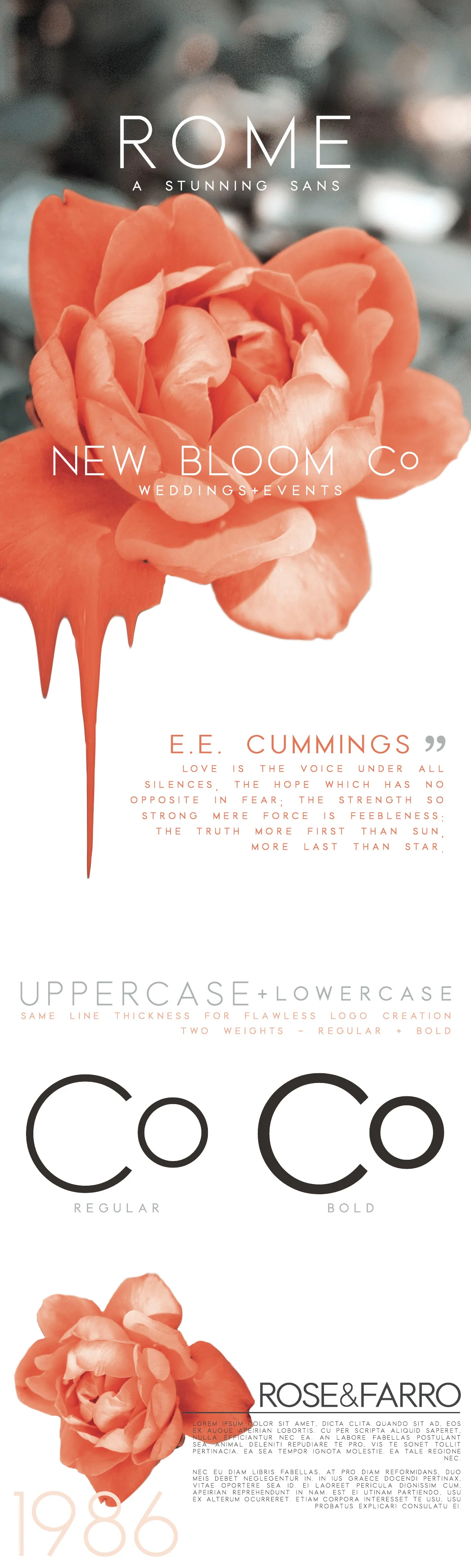 Rome | A Stunning Sans Serif Font