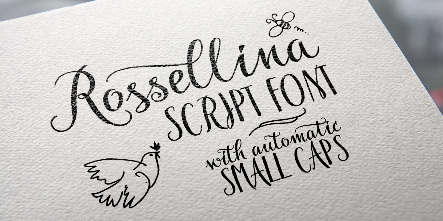 Rossellina Free Download Free Download Rossellina Free Download Free Download