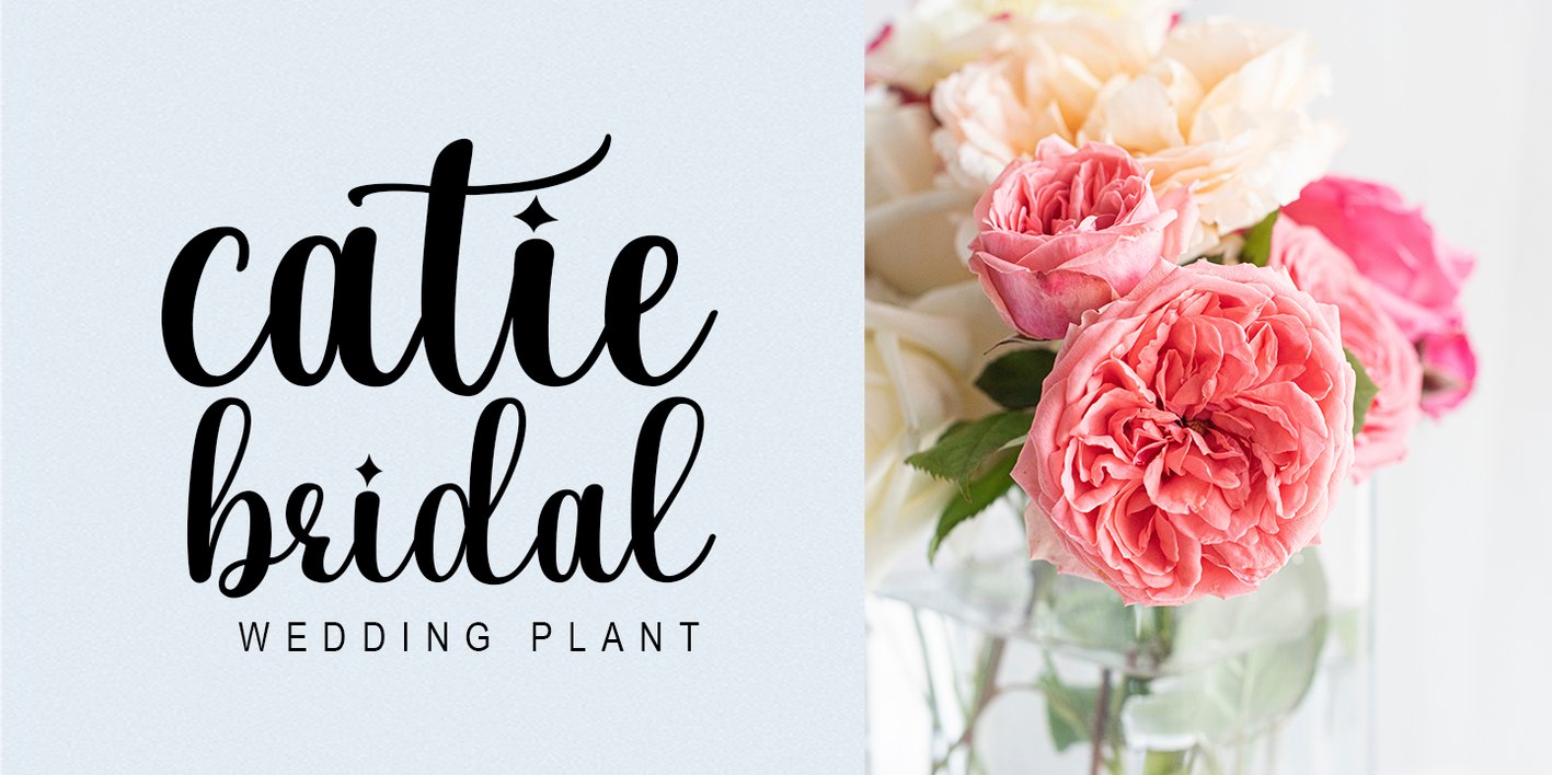 Sattila Font Free Download Sattila Font Free Download