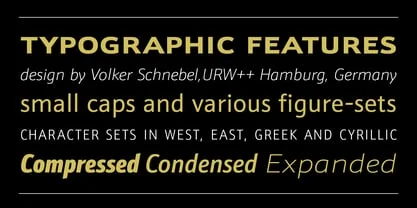 Schnebel Sans Pro Font Free Download Free Download