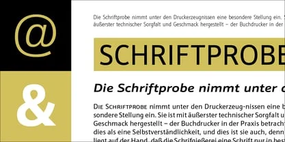 Schnebel Sans Pro Font Free Download Free Download