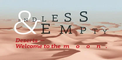 Schnebel Slab Pro Font Free Download Free Download