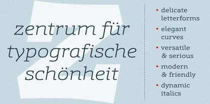 Schnebel Slab Pro Font Free Download Free Download