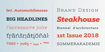 Schnebel Slab Pro Font Free Download Free Download